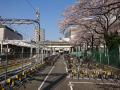 川崎市川崎区「川崎」駅 Parking in  川崎駅東口駐輪場 画像2